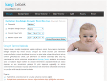 Tablet Screenshot of hangibebek.com